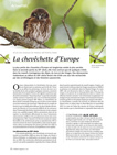 OM124 Actualités Atlas : la chevêchette d'Europe