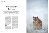 om125 reportage puma