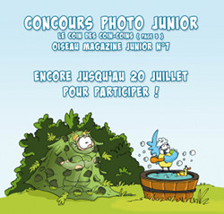 Concours photo OMJ 7