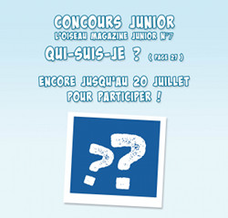 Concours Junior OMJ 7 - Qui suis-je ?