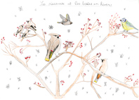 Dessin de Quentin, 9ans, 2e gagnant du concours