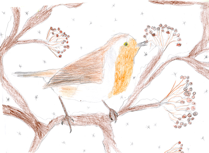 Dessin de Guillaume, 9ans