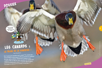 Dossier OMJ12 : les canards