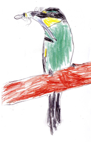 Dessin de Théo, 9 ans