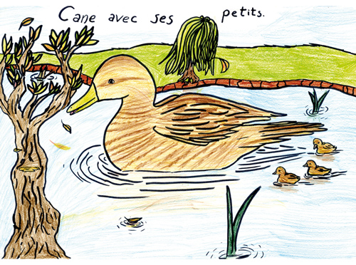 2e : dessin de Mathilde, 9 ans