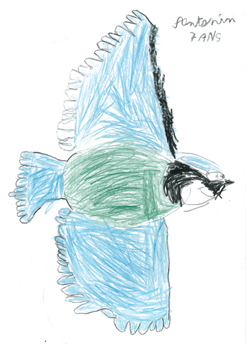 Dessin de Antonin 7ans