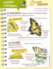 Fiche papillons : machaon et flambé OMJ15