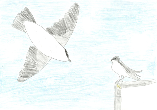 2eme : dessin de Robin, 10ans