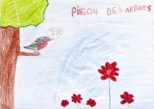 dessin de Amaresh, 7ans