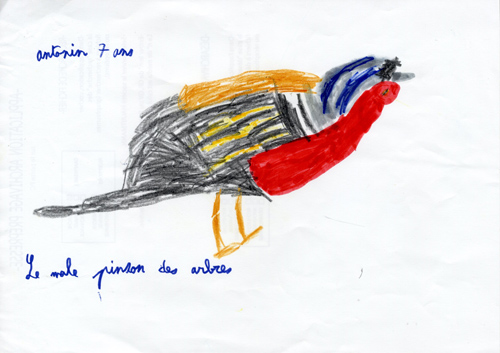 dessin de Antonin, 7ans