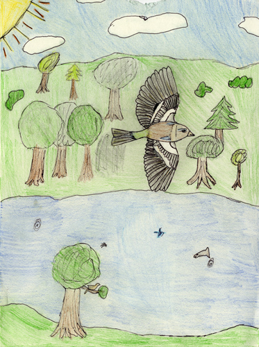 Dessin de Marceau, 11ans