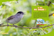 Dossier OMJ19 : les chants et cris des oiseaux