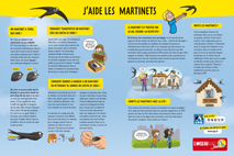 poster aider les martinets omj34