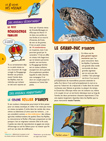 4 saisons des oiseaux