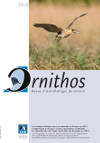 Ornithos 20-6 (2013)