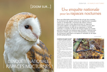 zoom sur l'enquête nationale rapaces nocturnes