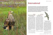 Rapaces d'ailleurs