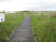 Réserve naturelle de Saint-Denis-du-Payré