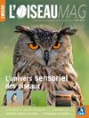 L'Oiseau Magazine